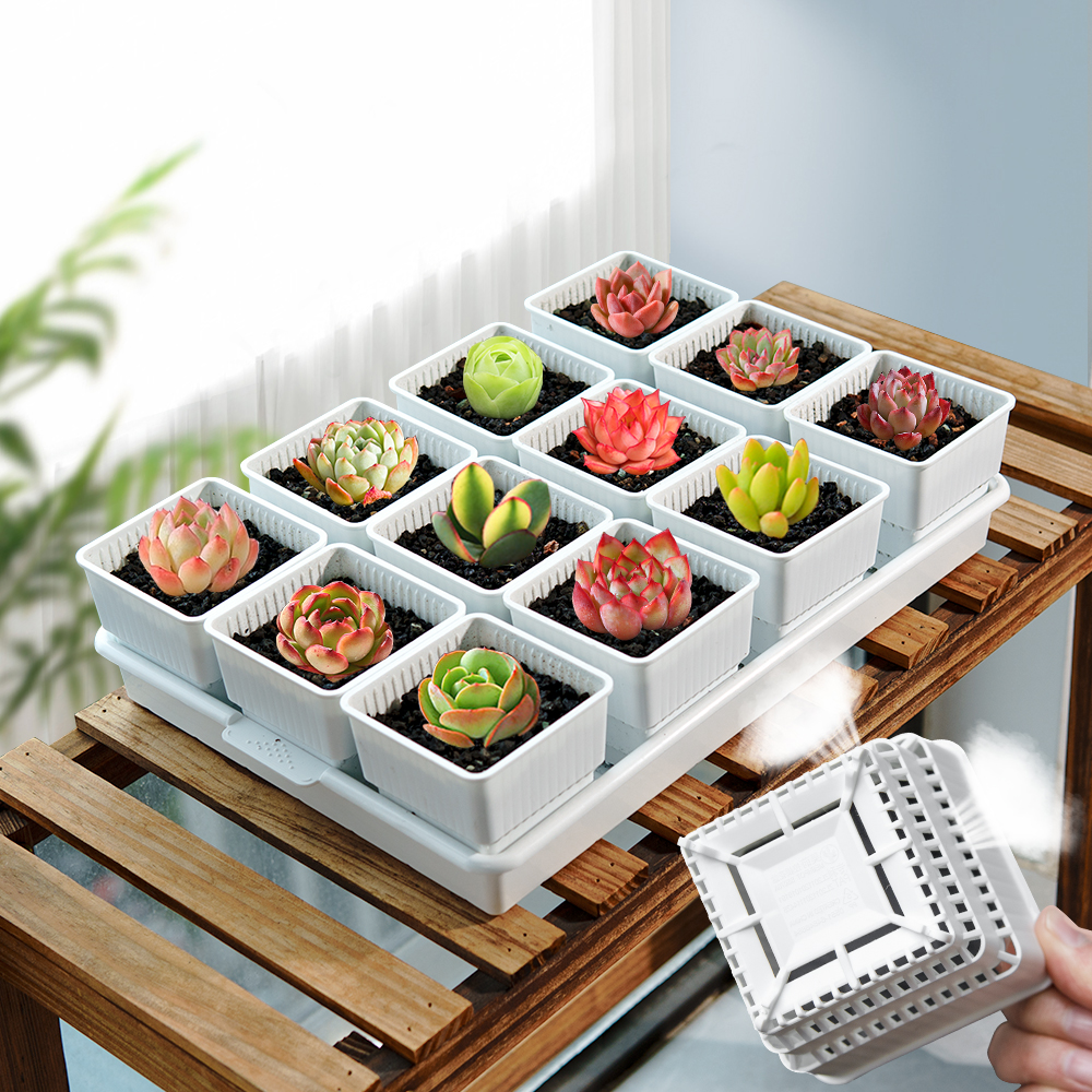 Food Storage Plants - Meshpot Succulent Pot Plastic Flower Pot