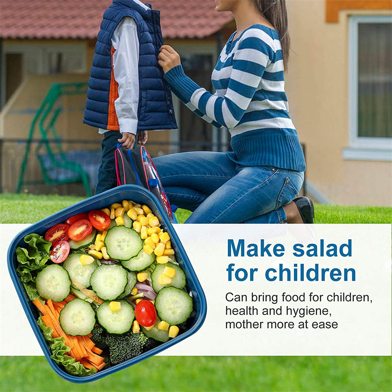 Portable Salad Lunch Container - Food Storage Vault 리뷰 및 가격