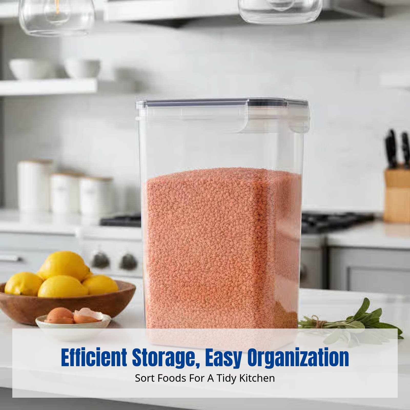 Airtight Food Storage Containe - Food Storage For Refrigerator 리뷰 및 가격