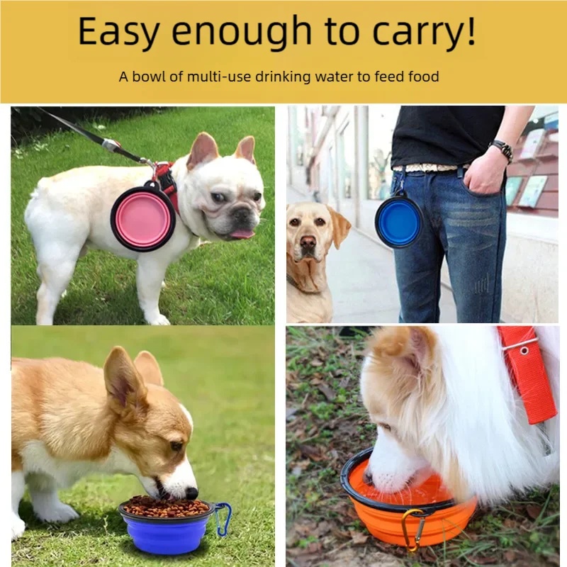 Folding Portable Silicone Dog  - Portion Control Container 리뷰 및 가격