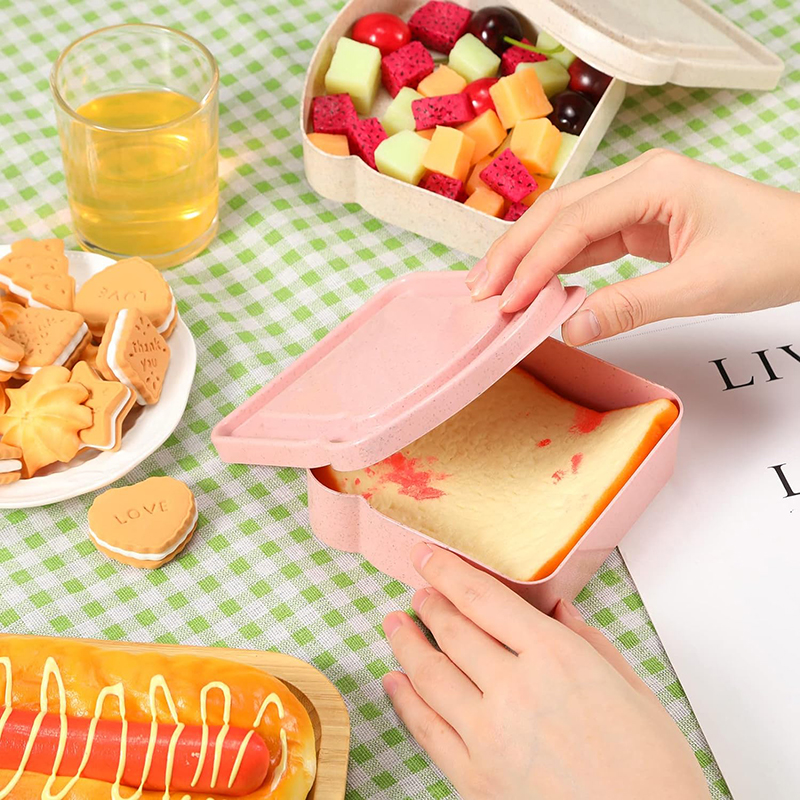 Sandwich Containers Lunch Box  - Food Storage With Colander 리뷰 및 가격