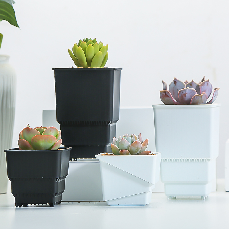 Meshpot Succulent Pot Plastic  - Food Storage Plants 리뷰 및 가격