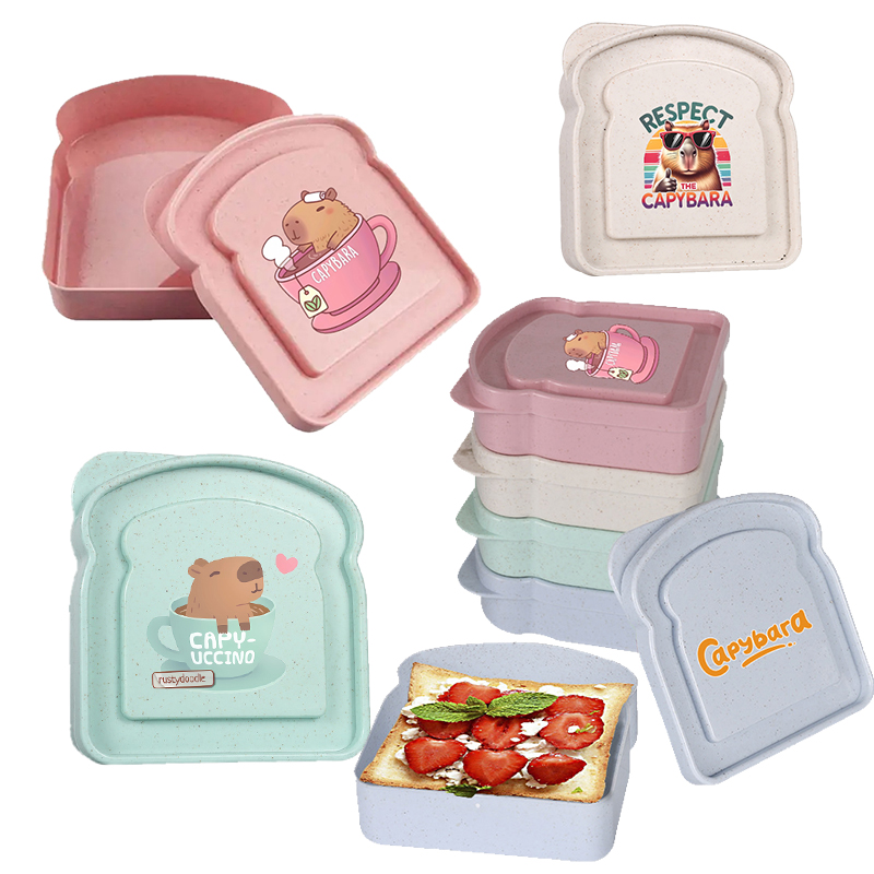 Capybara Sandwich Food Storage - Food Storage Containers Plastic Box 리뷰 및 가격