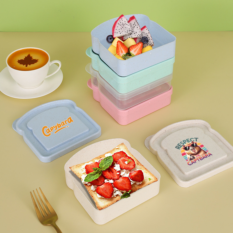 Capybara Sandwich Food Storage - Food Storage Containers Plastic Box 리뷰 및 가격