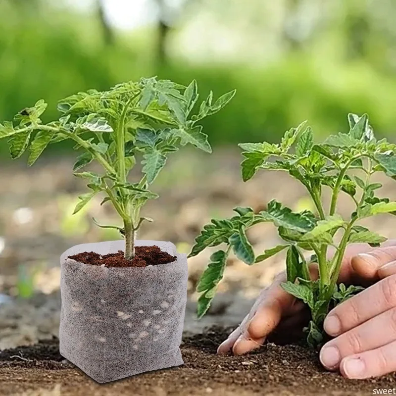 Non-woven Plant Nursery Bags F - Food Storage Plants 리뷰 및 가격