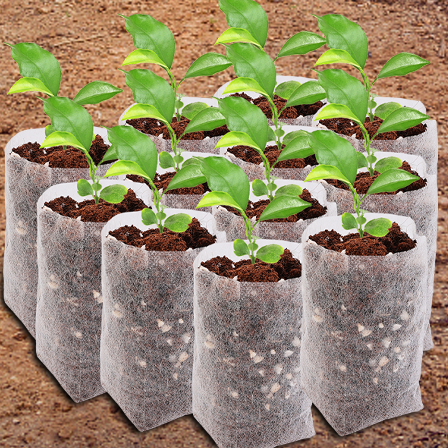 Non-woven Plant Nursery Bags F - Food Storage Plants 리뷰 및 가격
