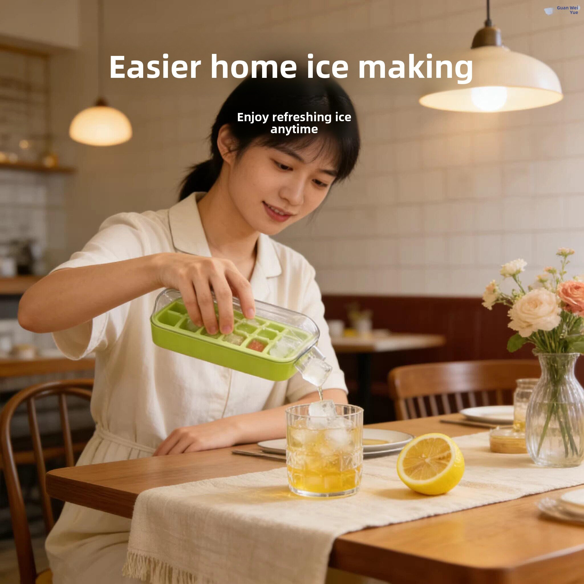 Food Grade Ice Tray Home Use R - Food Storage Brands 리뷰 및 가격