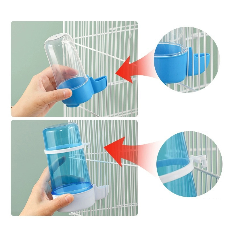 Hanging Pet Feeder Squirrel Pa - Portion Control Container 리뷰 및 가격