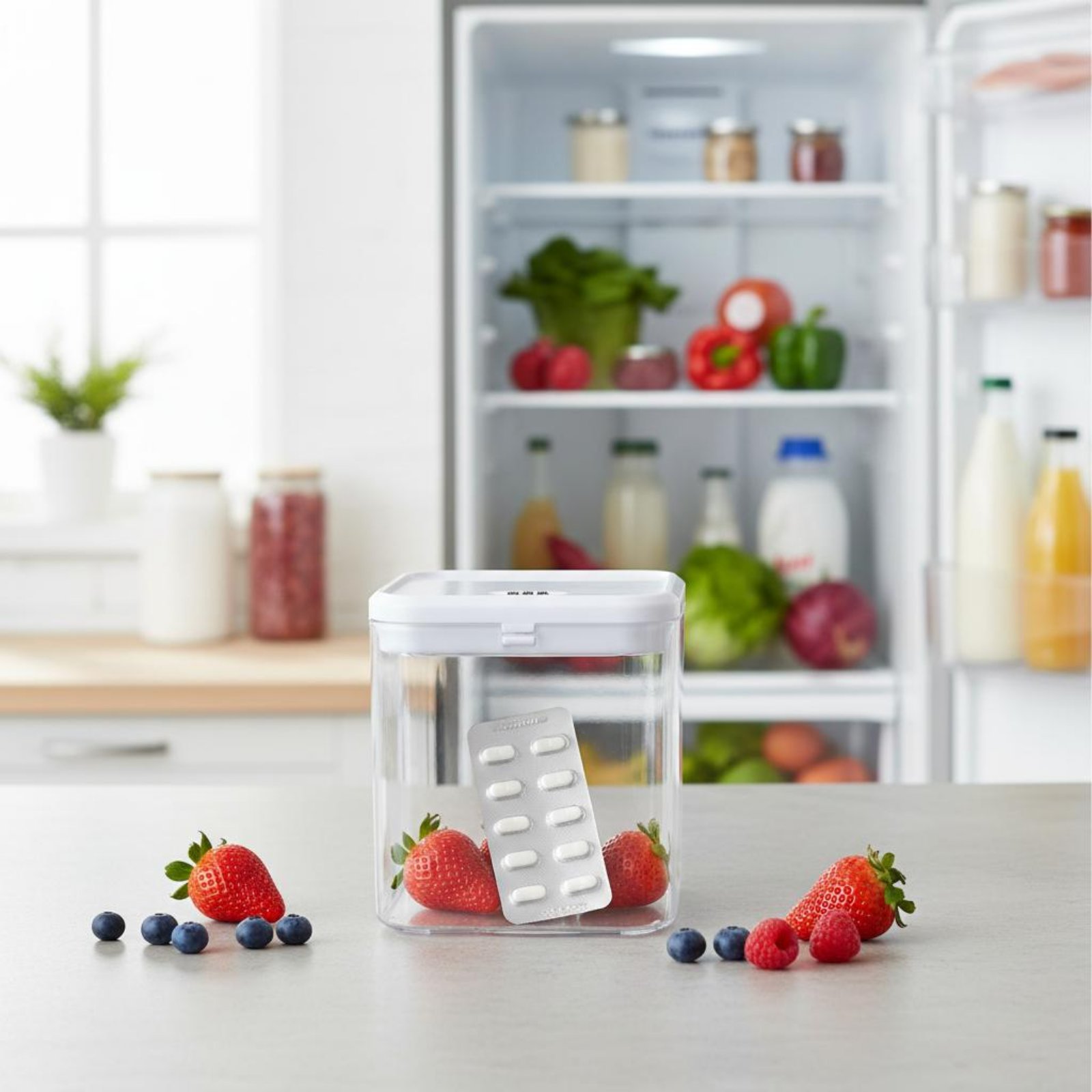 Clear Lockable Box Versatile L - Food Storage Plastic Boxes 리뷰 및 가격