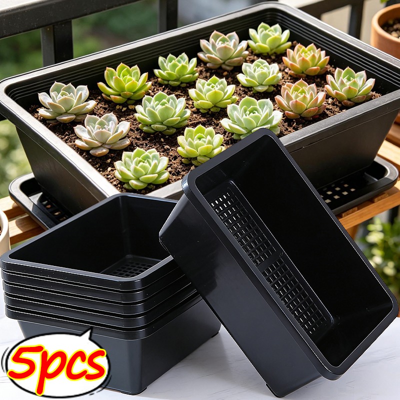 Succulent Plants Seedling Tray - Food Storage Plants 리뷰 및 가격