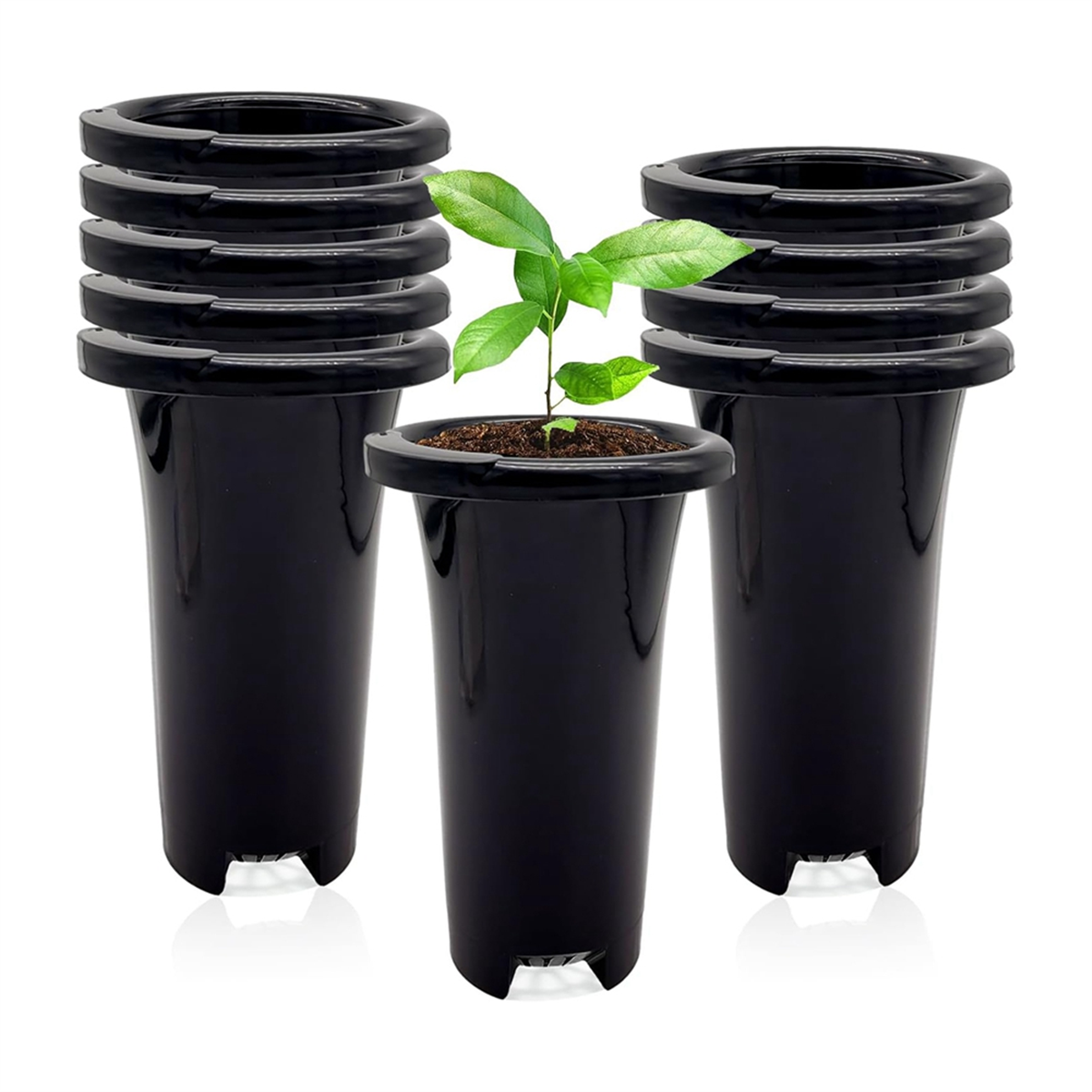 10Pcs Plastic Deep Plant Nurse - Food Storage Plants 리뷰 및 가격