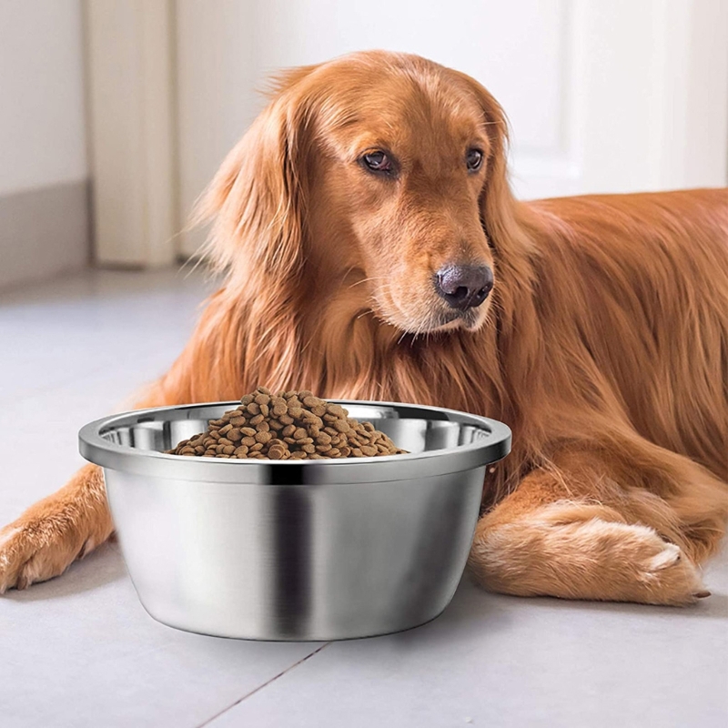 Anti-tip Dog Bowls Stainless S - Storage Tips For Food 리뷰 및 가격