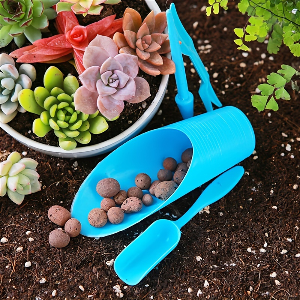 4-Piece Set of Succulent Garde - Food Storage Plants 리뷰 및 가격