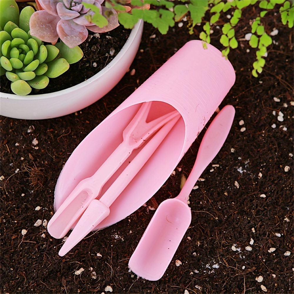 4-Piece Set of Succulent Garde - Food Storage Plants 리뷰 및 가격