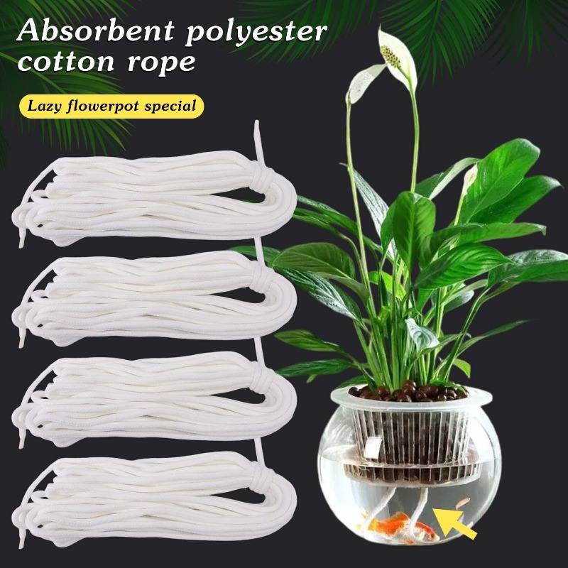 Lazy Self Watering Wick Cord C - Food Storage Plants 리뷰 및 가격