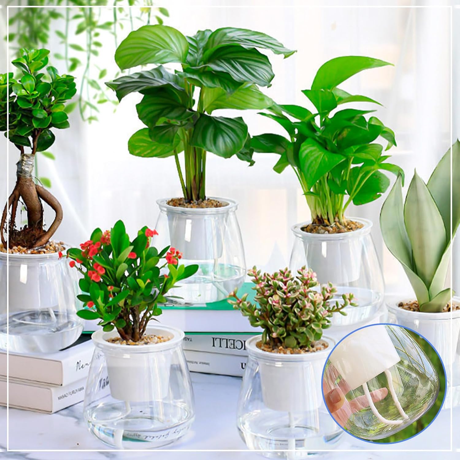Lazy Self Watering Wick Cord C - Food Storage Plants 리뷰 및 가격