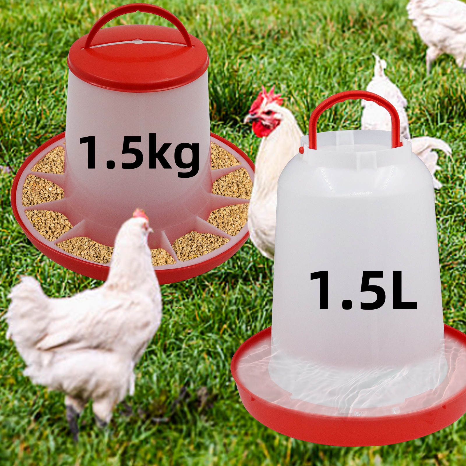 1.5kg 1.5L Poultry Feeder And  - Portion Control Container 리뷰 및 가격