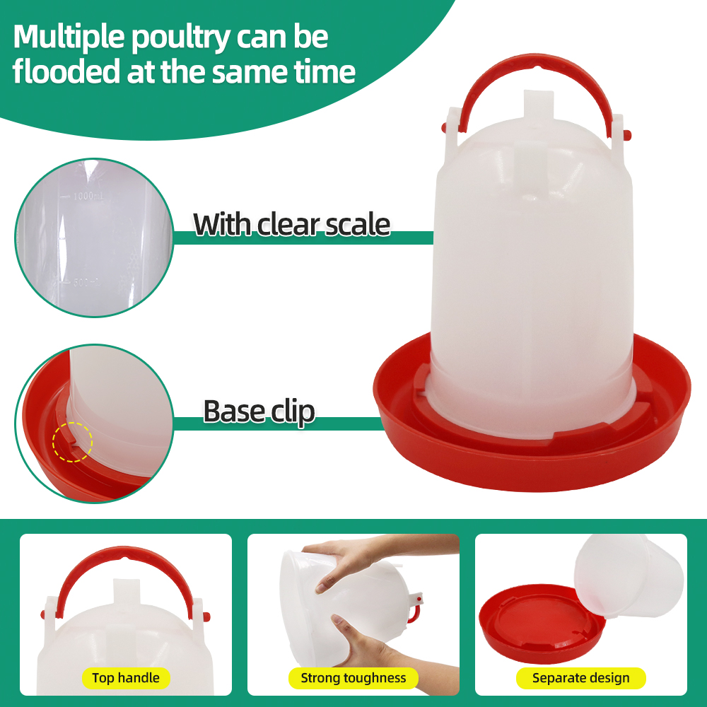 1.5kg 1.5L Poultry Feeder And  - Portion Control Container 리뷰 및 가격