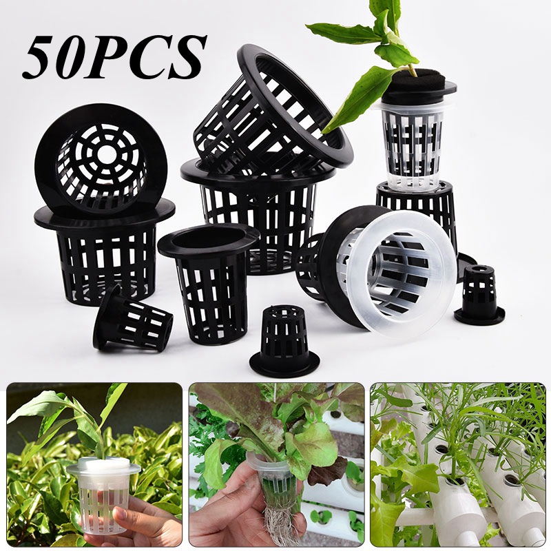 50Pcs Black White Soilless Mes - Food Storage Plants 리뷰 및 가격