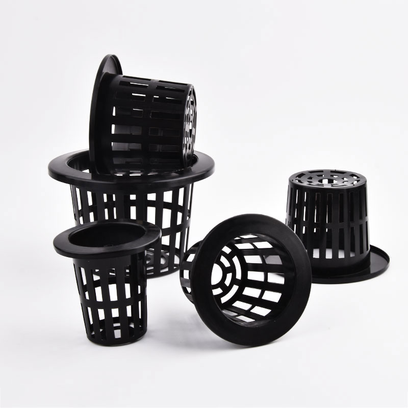 50Pcs Black White Soilless Mes - Food Storage Plants 리뷰 및 가격
