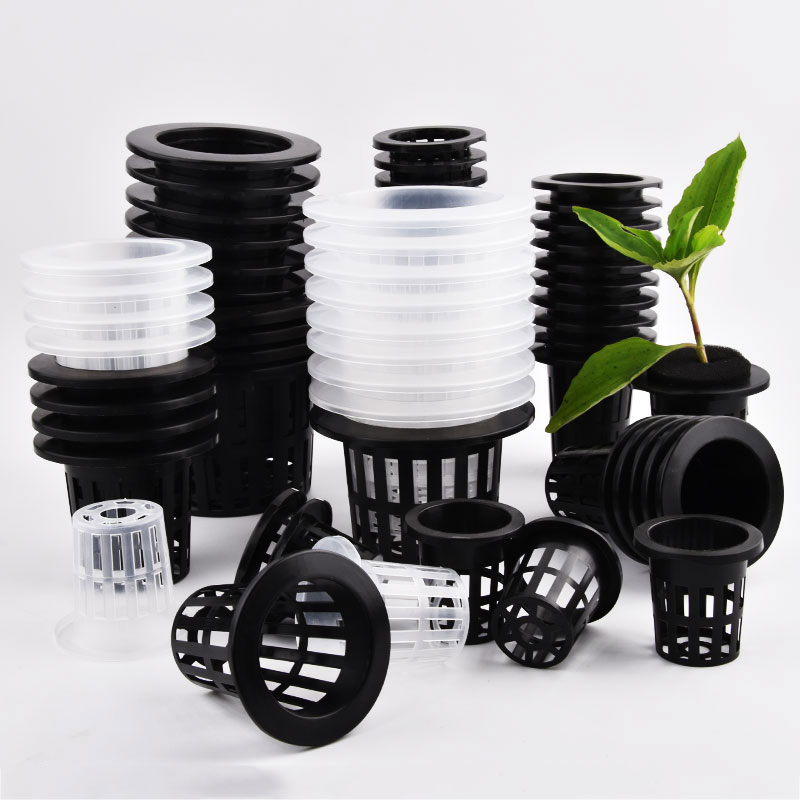 50Pcs Black White Soilless Mes - Food Storage Plants 리뷰 및 가격