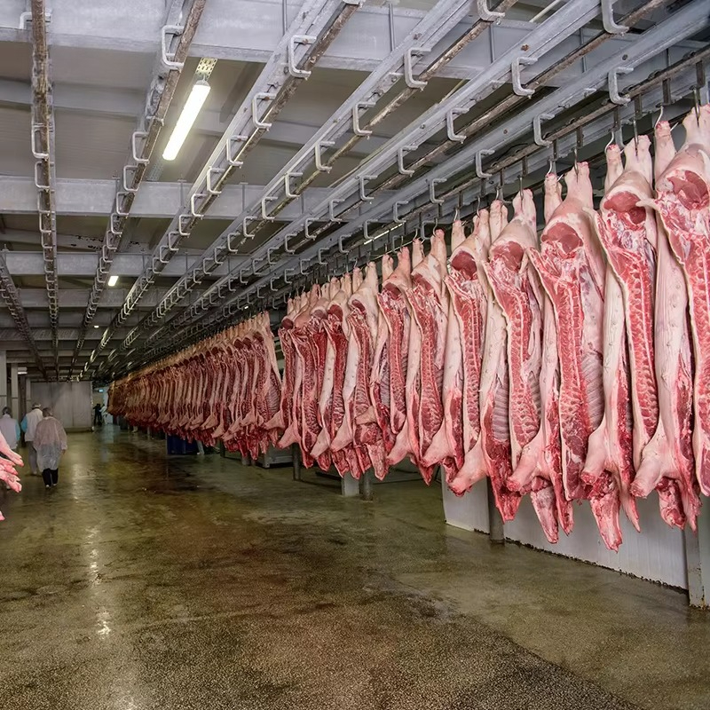 Cold Storage Room Slaughter Ho - Food Storage For Refrigerator 리뷰 및 가격