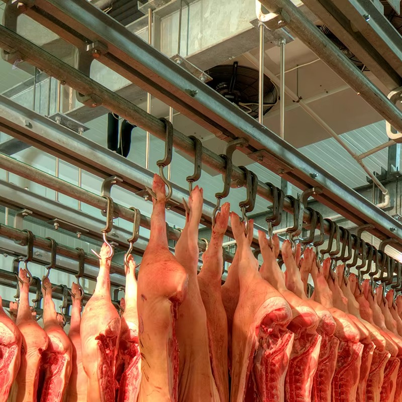 Cold Storage Room Slaughter Ho - Food Storage For Refrigerator 리뷰 및 가격
