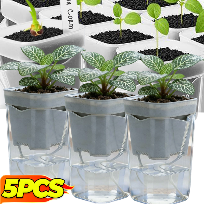 Transparent Flower Plant Pot S - Food Storage Plants 리뷰 및 가격