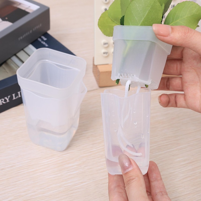 Transparent Flower Plant Pot S - Food Storage Plants 리뷰 및 가격