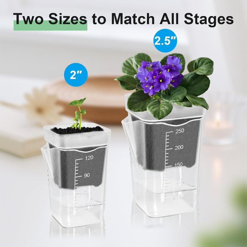 Transparent Flower Plant Pot S - Food Storage Plants 리뷰 및 가격