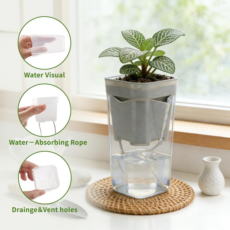 Transparent Flower Plant Pot S - Food Storage Plants 리뷰 및 가격