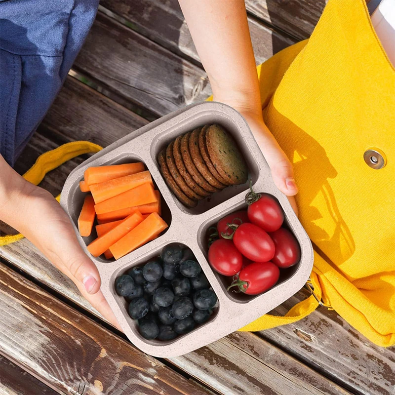 4 Grids Food Storage Box Porta - Food Storage For Refrigerator 리뷰 및 가격