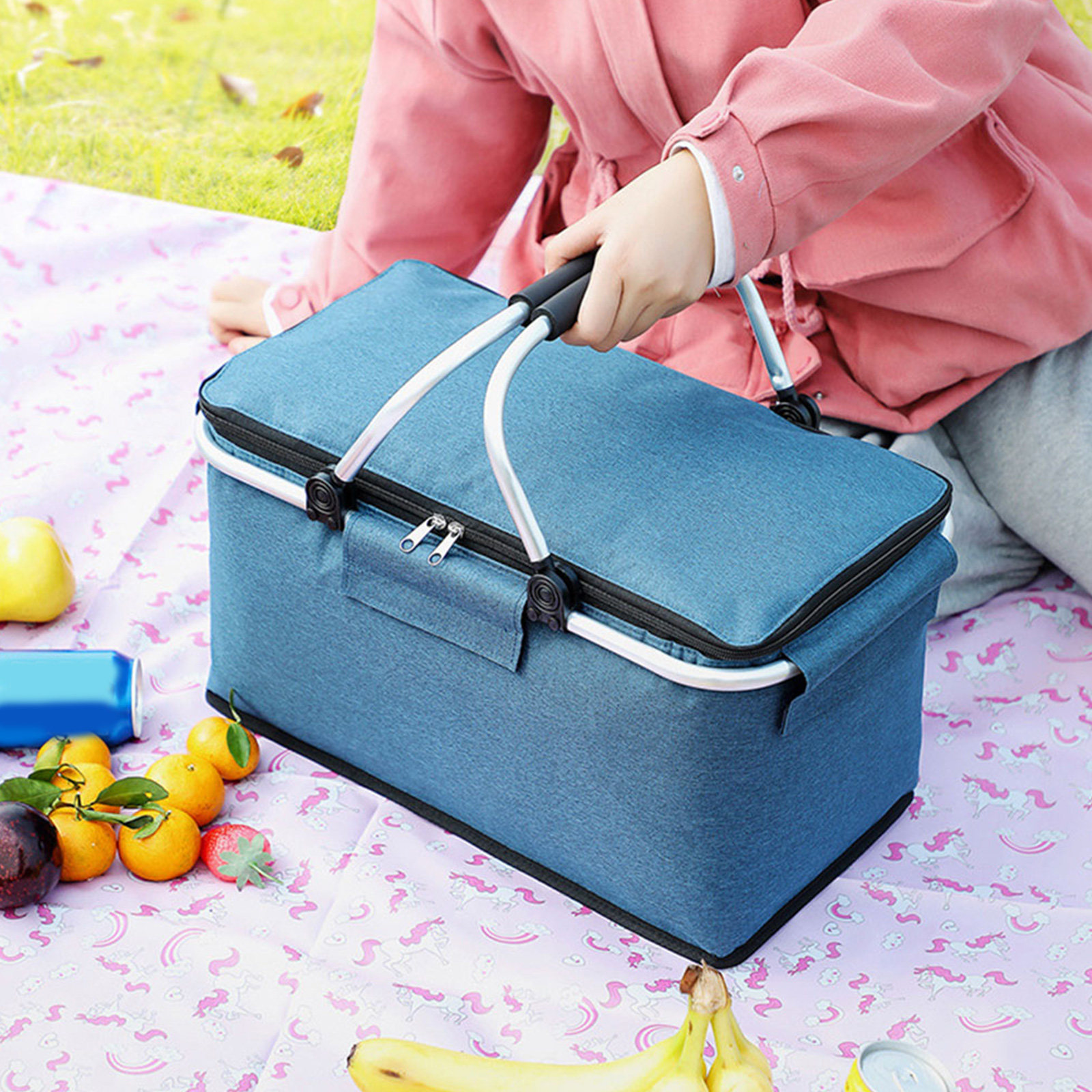 1Pcs Foldable Insulated Picnic - Food Storage To Keep Warm 리뷰 및 가격