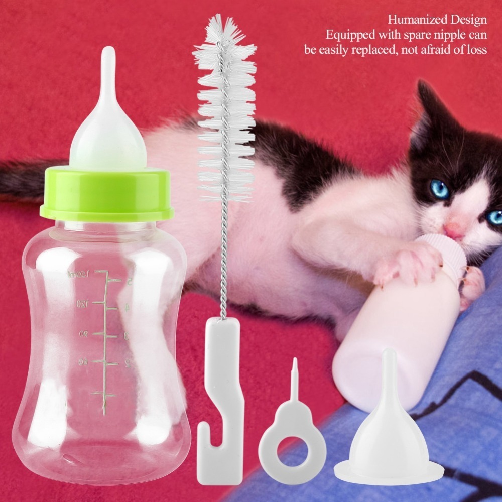 4pcs/ Set 150ml Capacity Pet F - Storage Tips For Food 리뷰 및 가격