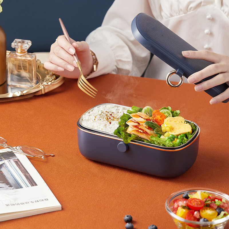 Electric Heating Lunch Box Sma - Food Storage Reserve 리뷰 및 가격