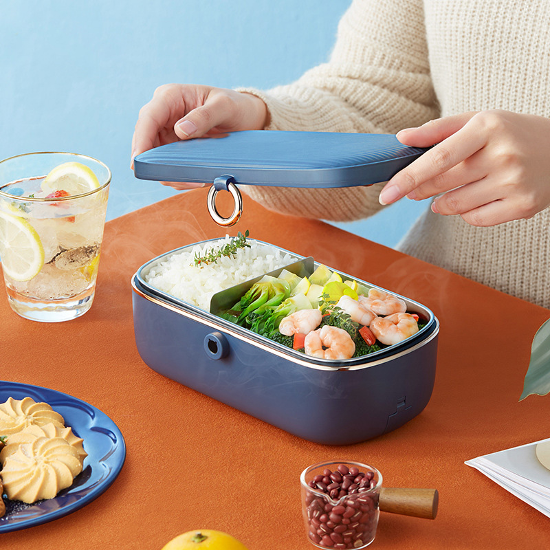 Electric Heating Lunch Box Sma - Food Storage Reserve 리뷰 및 가격