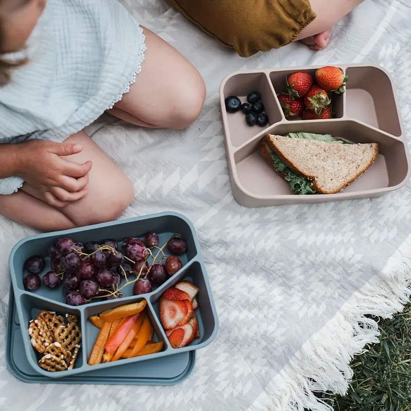 Food-grade eco-friendly leak-p - Food Storage Vault 리뷰 및 가격