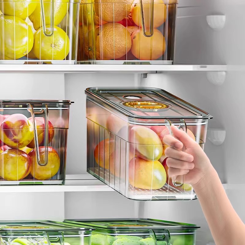 Refrigerator sorting storage b - Food Storage For Refrigerator 리뷰 및 가격
