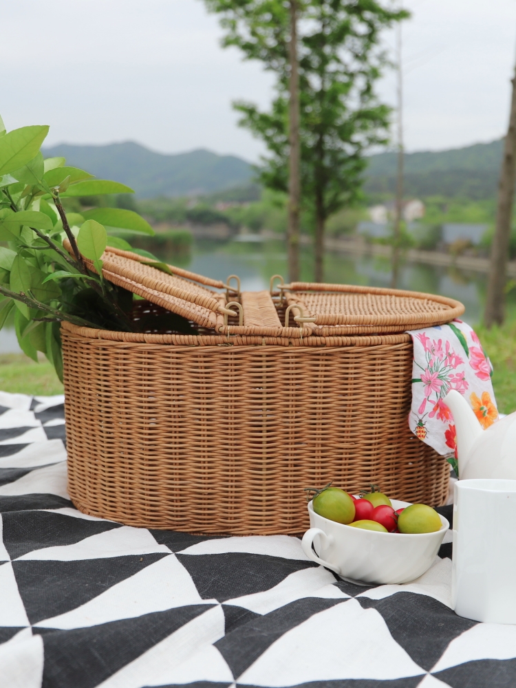 FenEr Wicker Camping Picnic Ba - Food Storage Brands 리뷰 및 가격