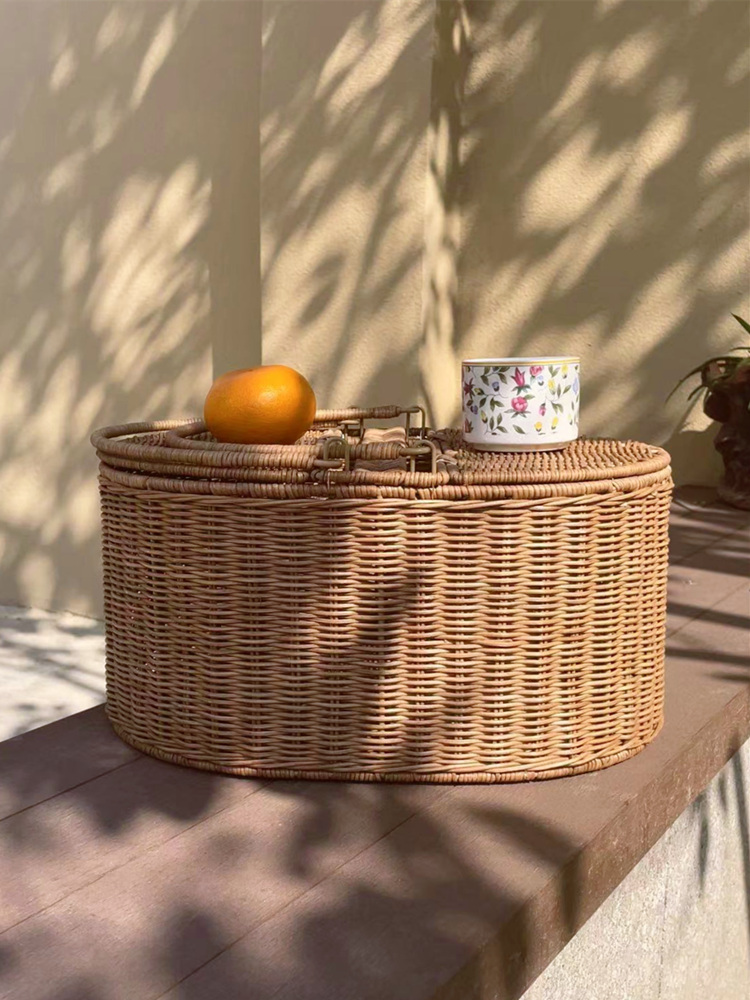 FenEr Wicker Camping Picnic Ba - Food Storage Brands 리뷰 및 가격