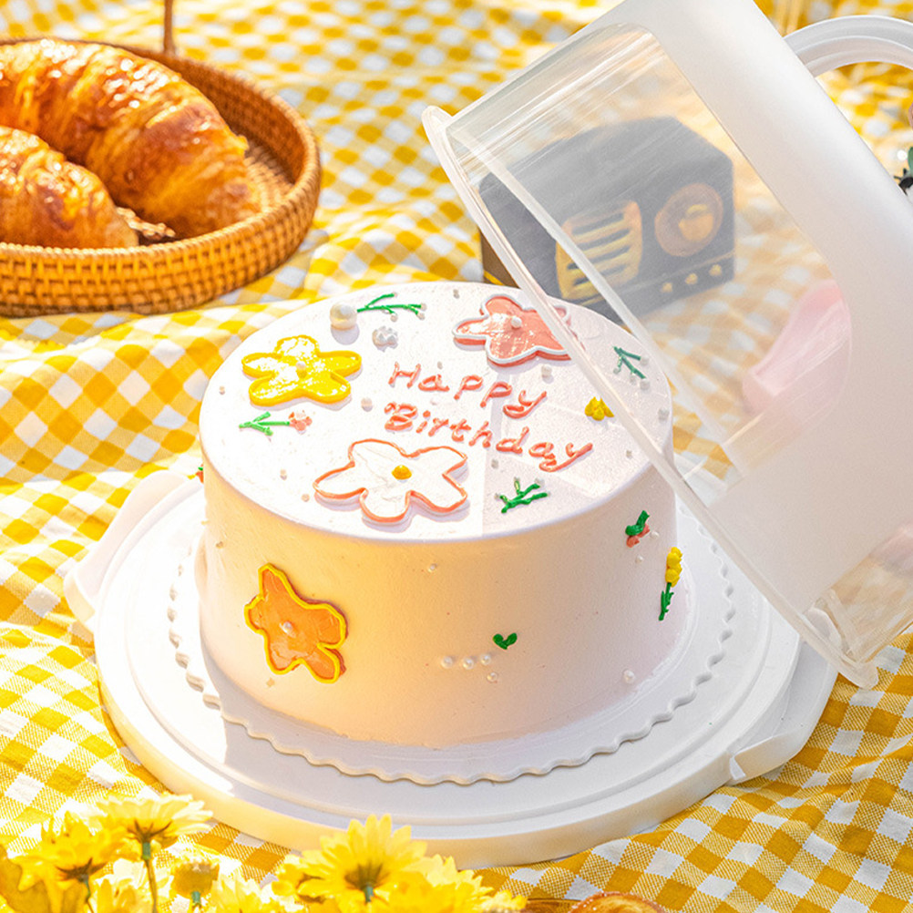 Cake Storage Box 10 Inch Round - Food Storage Plastic Boxes 리뷰 및 가격