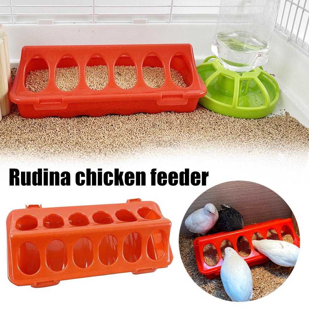 Rudin Chicken Feeder Automatic - Portion Control Container 리뷰 및 가격