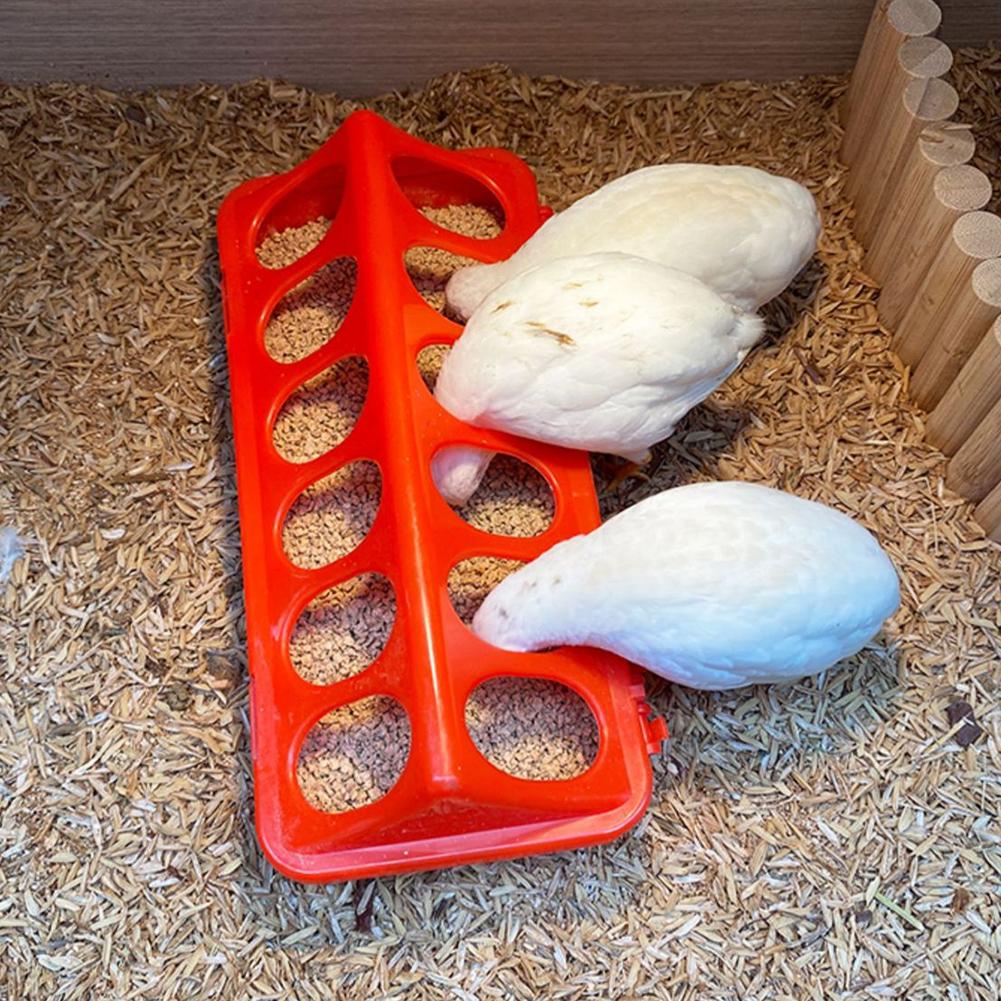 Rudin Chicken Feeder Automatic - Portion Control Container 리뷰 및 가격