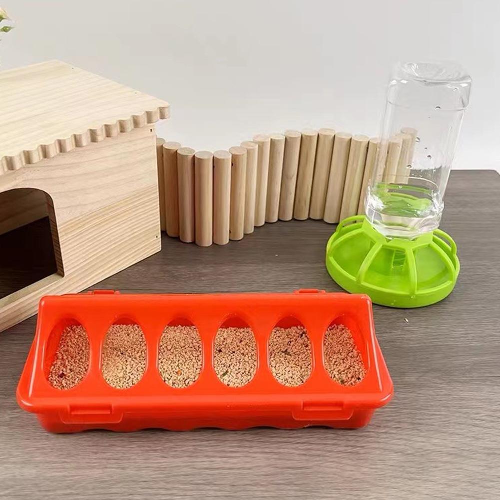 Rudin Chicken Feeder Automatic - Portion Control Container 리뷰 및 가격