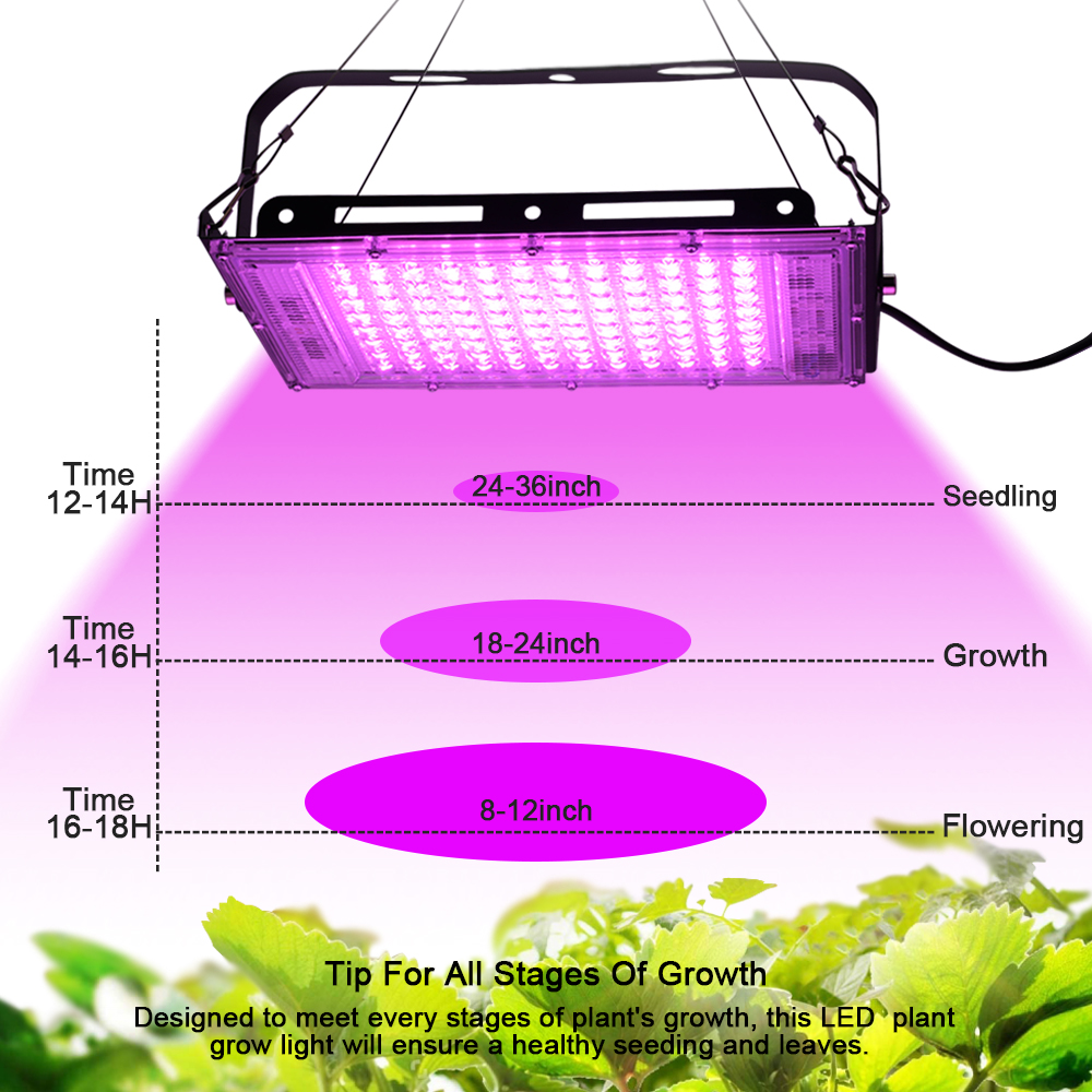 Full Spectrum LED Grow Light P - Food Storage Plants 리뷰 및 가격