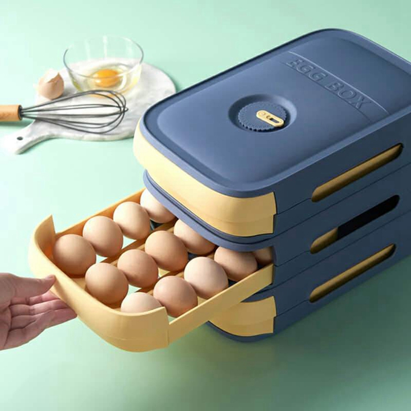 Egg Storage Container Refriger - Food Storage Containers 리뷰 및 가격