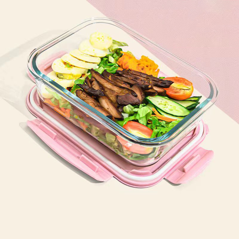 New style Lunch Box Glass 1050 - Food Storage Vault 리뷰 및 가격