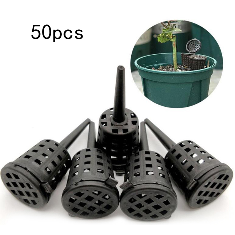 50 Pcs/pack Plants Fertilizer  - Food Storage Plants 리뷰 및 가격
