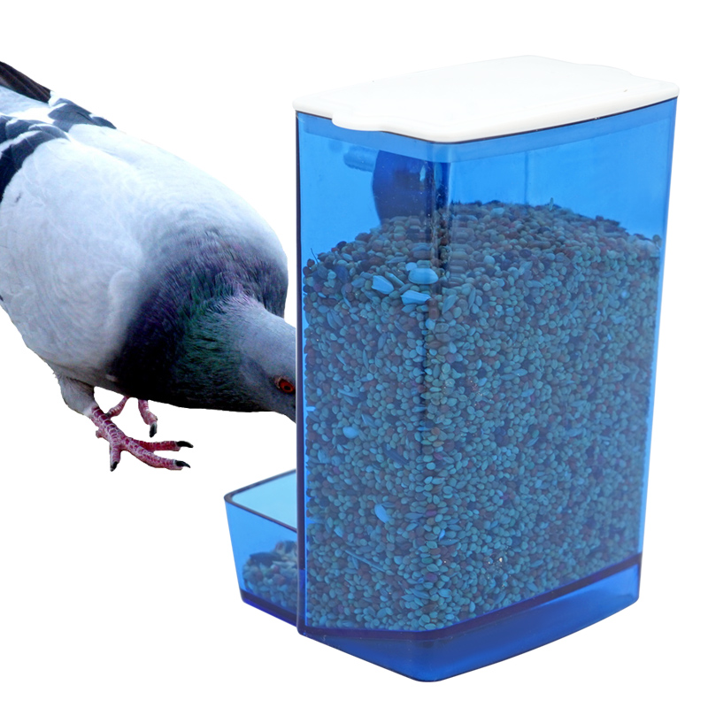 Automatic Bird Feeder Parrot Q - Portion Control Container 리뷰 및 가격