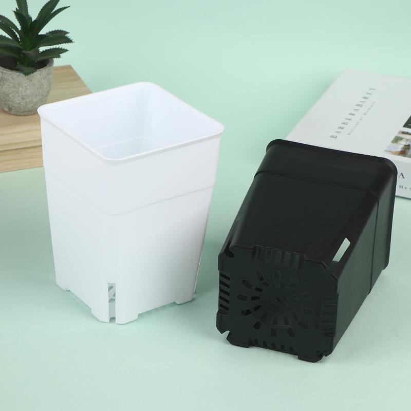 Seedling Pots Square Plastic P - Food Storage Plants 리뷰 및 가격